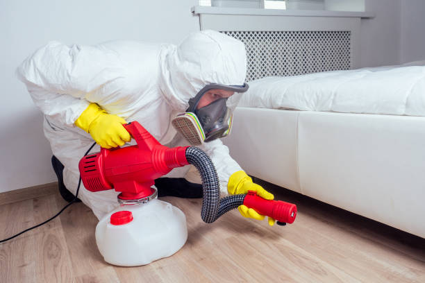Best Termite Control Services  in Wadena, MN
