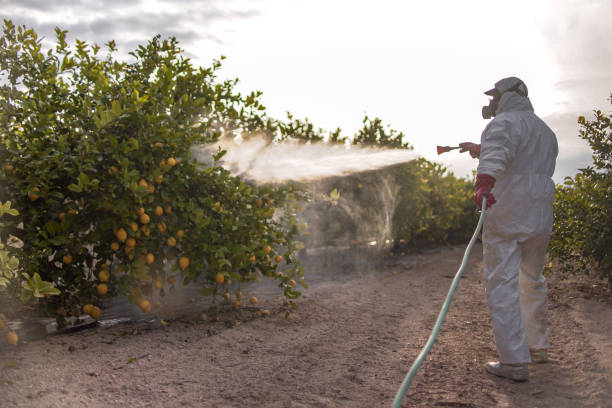 Professional Pest Control in Wadena, MN