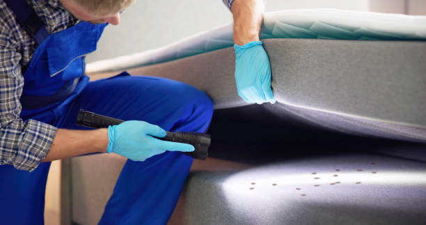 Best Best Pest Control Companies  in Wadena, MN