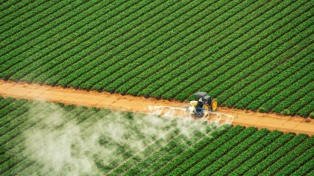 Best Pest Prevention Services  in Wadena, MN