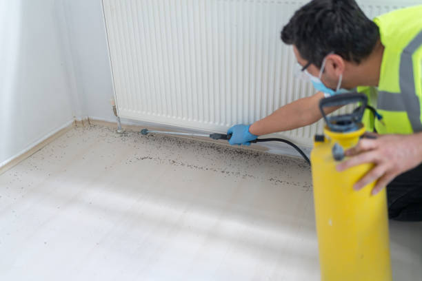 Pest Control Cost in Wadena, MN
