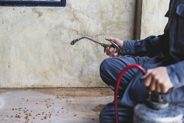 Best Pest Control Near Me in Wadena, MN